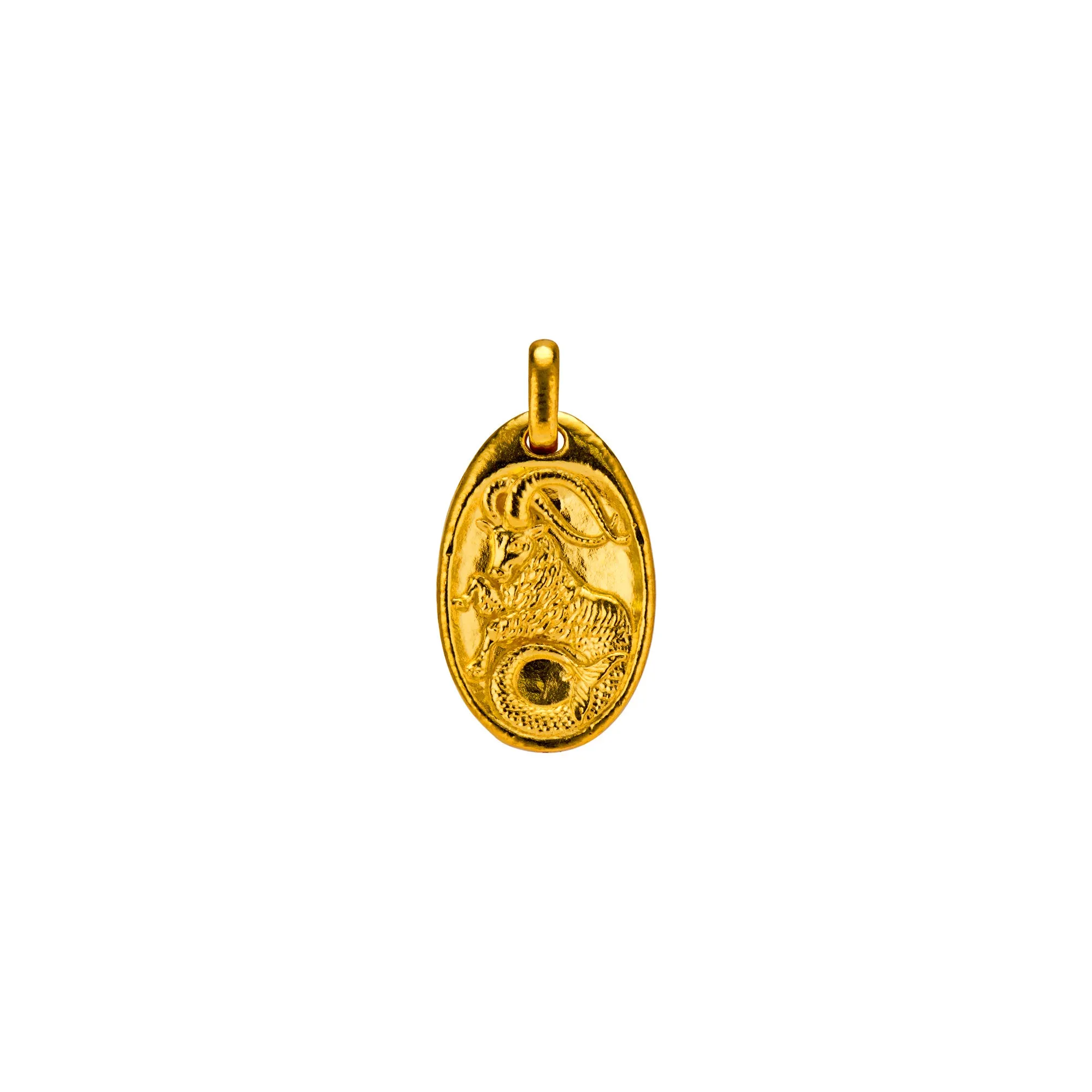 Capricorn Medallion