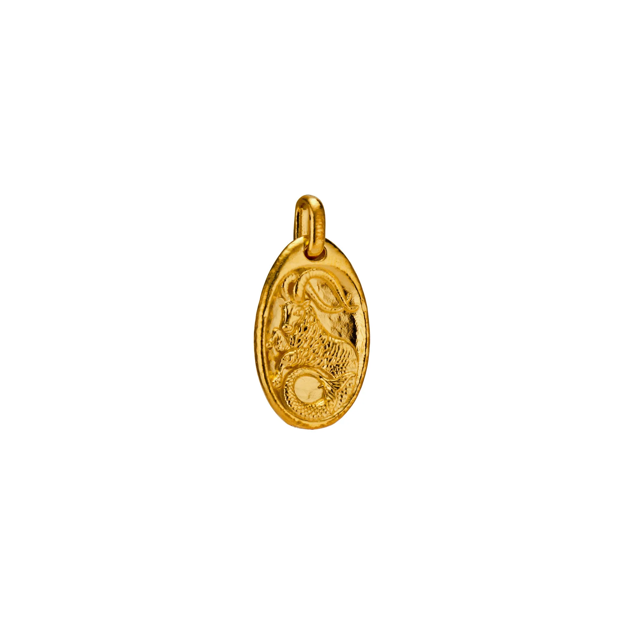 Capricorn Medallion