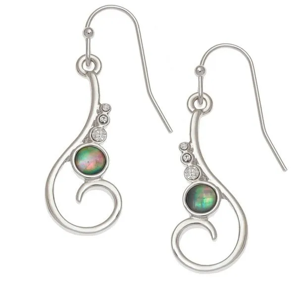 Elegant Spiral Paua Shell Earrings