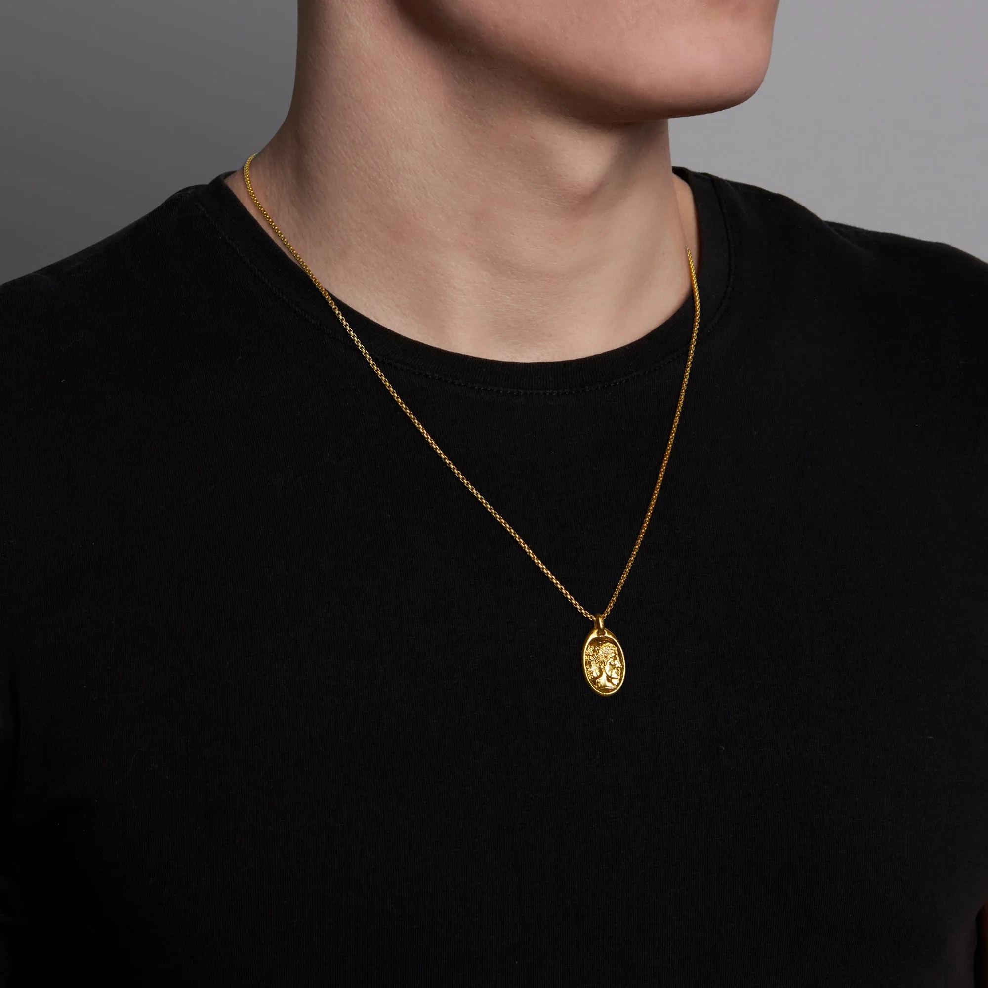Gemini Medallion