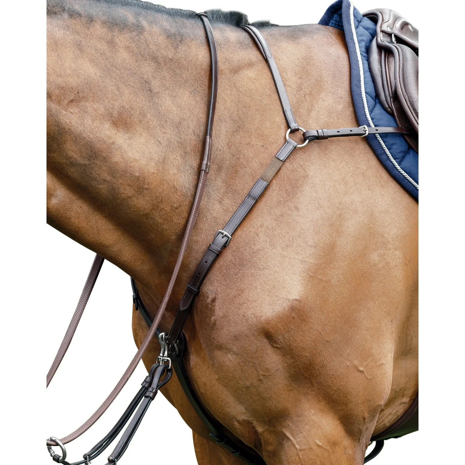 Special Bridge Breastplate