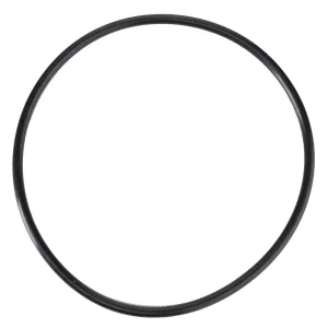 *SPECIAL PRICE* - O-Ring - D45471500
