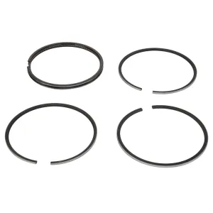 *SPECIAL PRICE* - Piston Ring, Kit - 747041Z91