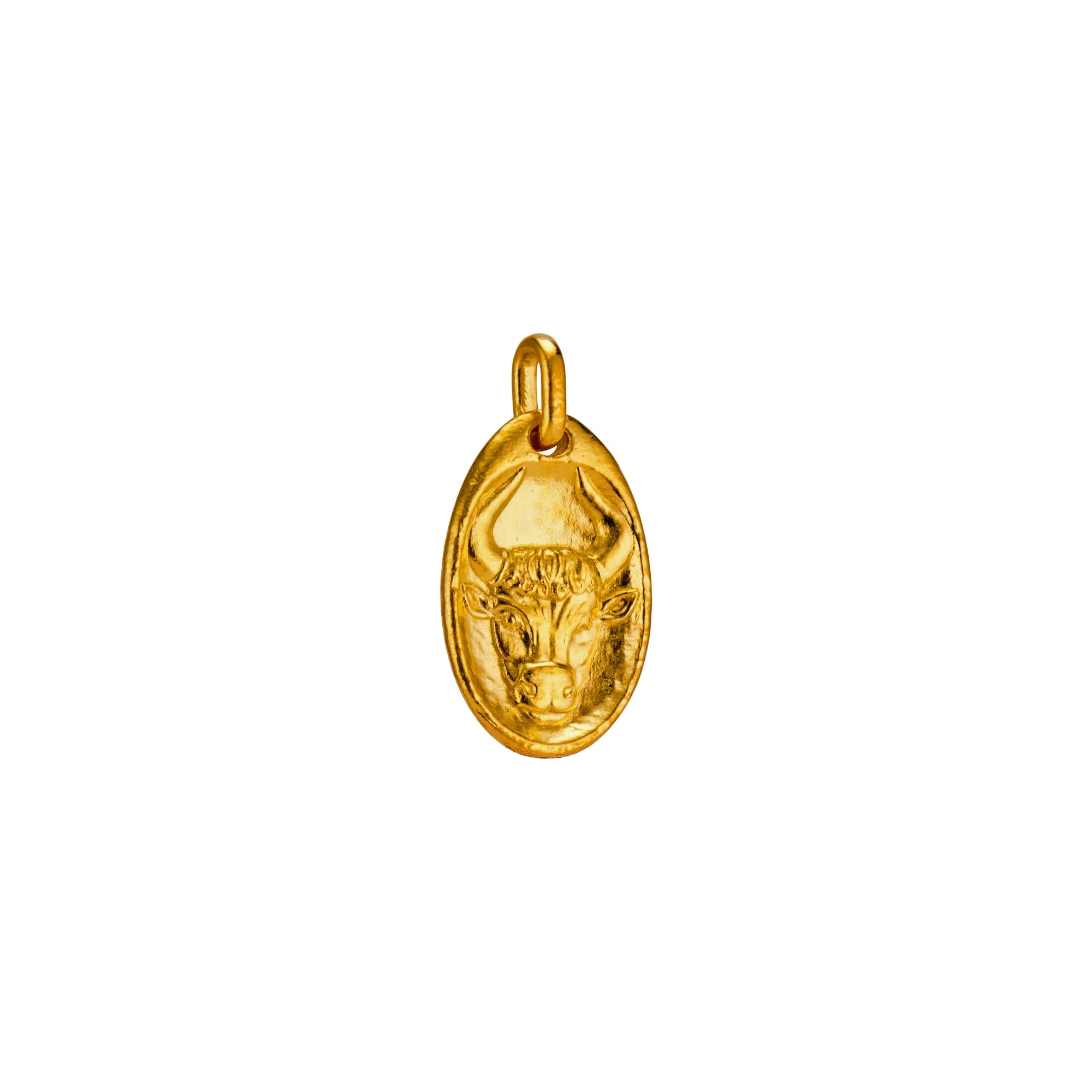 Taurus Medallion